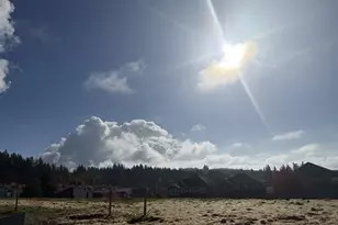 12937 NW Ramona Ln, Portland, OR 97229 - Photo 41