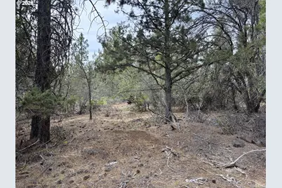Bunting Dr, Bonanza, OR 97623 - Photo 3