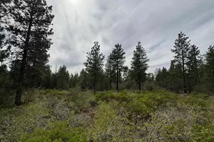 Bunting Dr, Bonanza, OR 97623 - Photo 1