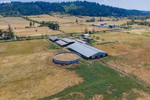 39511 Hwy 226, Scio, OR 97374 - Photo 5