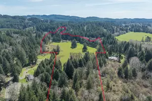 871 Old River Rd, Siletz, OR 97380 - Photo 47
