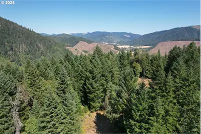 750 Ferguson Ln, Days Creek, OR 97429 - Photo 41
