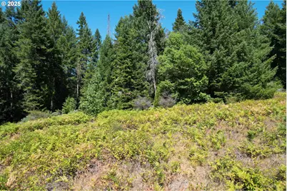 750 Ferguson Ln, Days Creek, OR 97429 - Photo 37