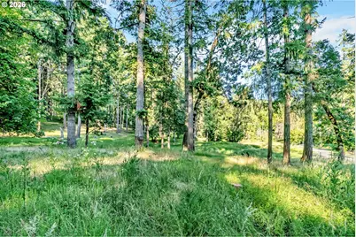 32739 Taylor Butte Rd, Cottage Grove, OR 97424 - Photo 47