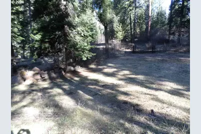 59931 River Canyon Rd, Imnaha, OR 97842 - Photo 7
