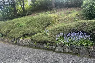 16735 Thompson Rd, Brookings, OR 97415 - Photo 19