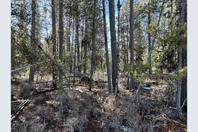 Keyser Circle #28, Chiloquin, OR 97624 - Photo 23