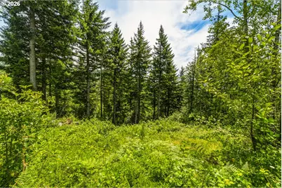 321 Helens Ln, Washougal, WA 98671 - Photo 37