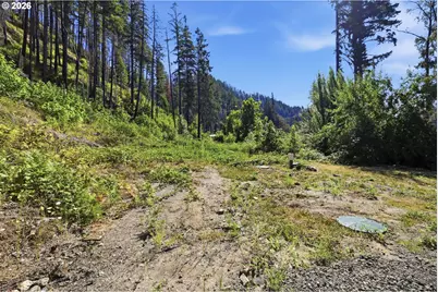 47901 McKenzie Hwy, Vida, OR 97488 - Photo 23