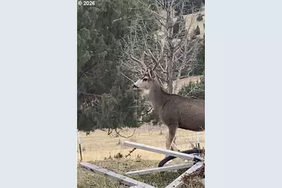 58400 4-K Overlook Ln, John Day, OR 97845 - Photo 35