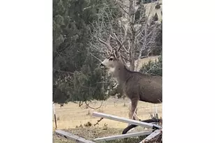 58400 4-K Overlook Ln, John Day, OR 97845 - Photo 35