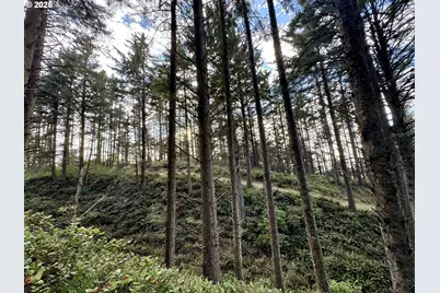 88300 Pacific Surf Ln, Bandon, OR 97411 - Photo 15