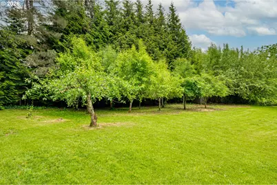 315 Scott Hill Rd, Woodland, WA 98674 - Photo 27