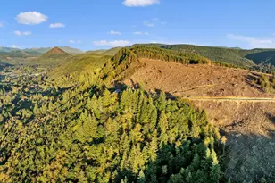 39904 NE Rotschy Rd, Yacolt, WA 98675 - Photo 47