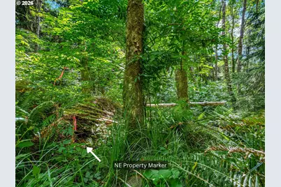 [Address not provided], Cannon Beach, OR 97110 - Photo 11