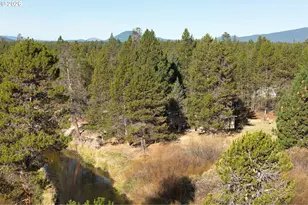 53254 Bridge Dr, La Pine, OR 97739 - Photo 29
