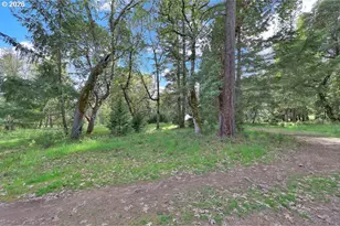 544 Lou Gray Dr, Myrtle Creek, OR 97457 - Photo 23