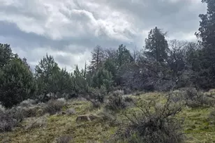 78902 Walters Rd, Maupin, OR 97037 - Photo 41