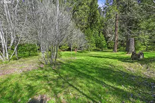 76113 Fish Hatchery Rd, Oakridge, OR 97463 - Photo 33