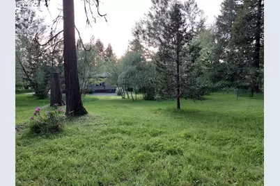 76113 Fish Hatchery Rd, Oakridge, OR 97463 - Photo 3