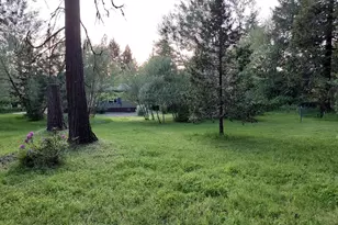 76113 Fish Hatchery Rd, Oakridge, OR 97463 - Photo 3