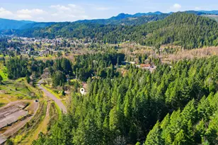 76113 Fish Hatchery Rd, Oakridge, OR 97463 - Photo 43