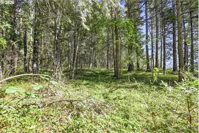 76113 Fish Hatchery Rd, Oakridge, OR 97463 - Photo 39