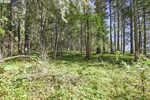 76113 Fish Hatchery Rd, Oakridge, OR 97463 - Photo 39