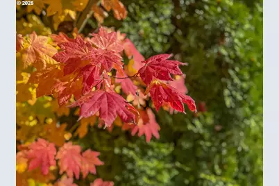 185 NW Mawrcrest Ave, Gresham, OR 97030 - Photo 45