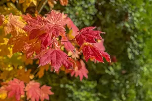 185 NW Mawrcrest Ave, Gresham, OR 97030 - Photo 45