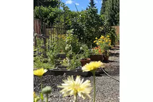 9845 SW Omara St, Tigard, OR 97223 - Photo 21