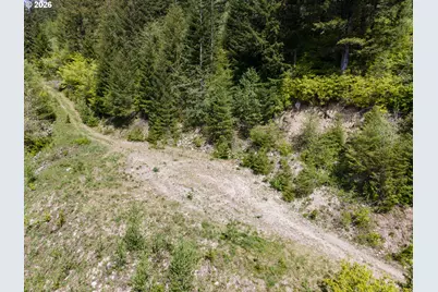 Snag Mountain Rd, Washougal, WA 98671 - Photo 33