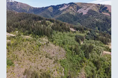 Snag Mountain Rd, Washougal, WA 98671 - Photo 27