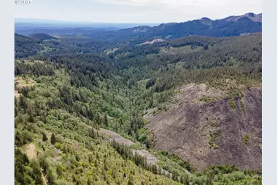Snag Mountain Rd, Washougal, WA 98671 - Photo 29