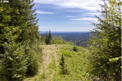 Snag Mountain Rd, Washougal, WA 98671 - Photo 15