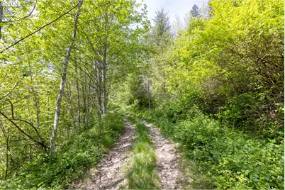 Snag Mountain Rd, Washougal, WA 98671 - Photo 5