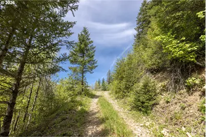 Snag Mountain Rd, Washougal, WA 98671 - Photo 7