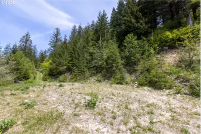Snag Mountain Rd, Washougal, WA 98671 - Photo 13