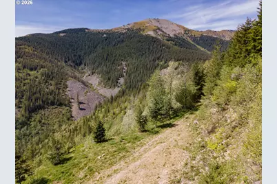 Snag Mountain Rd, Washougal, WA 98671 - Photo 41