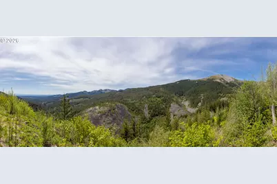 Snag Mountain Rd, Washougal, WA 98671 - Photo 17