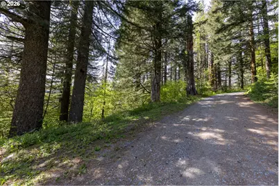 Snag Mountain Rd, Washougal, WA 98671 - Photo 19