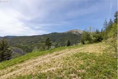Snag Mountain Rd, Washougal, WA 98671 - Photo 9