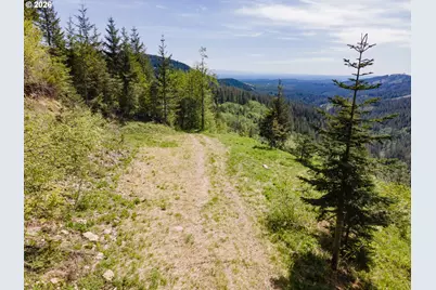 Snag Mountain Rd, Washougal, WA 98671 - Photo 37