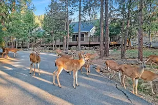5831 Old Hwy 99, Ashland, OR 97520 - Photo 41