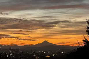 1262 NW Summit Ave, Portland, OR 97210 - Photo 45