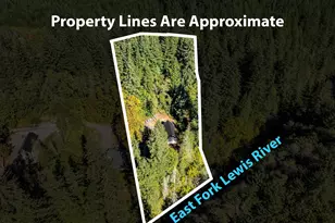 36413 NE 267th St, Yacolt, WA 98675 - Photo 35