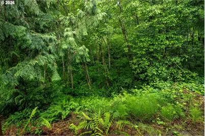 8 Ammons Ln, Longview, WA 98632 - Photo 45