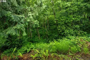 8 Ammons Ln, Longview, WA 98632 - Photo 45