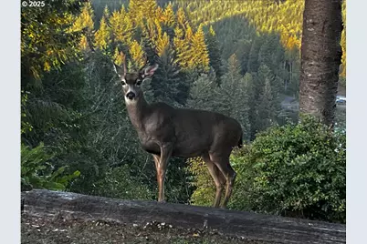 89349 Rustic Ln, Florence, OR 97439 - Photo 13