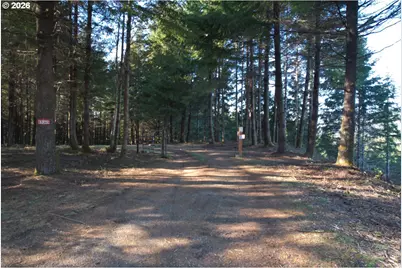 89349 Rustic Ln, Florence, OR 97439 - Photo 15